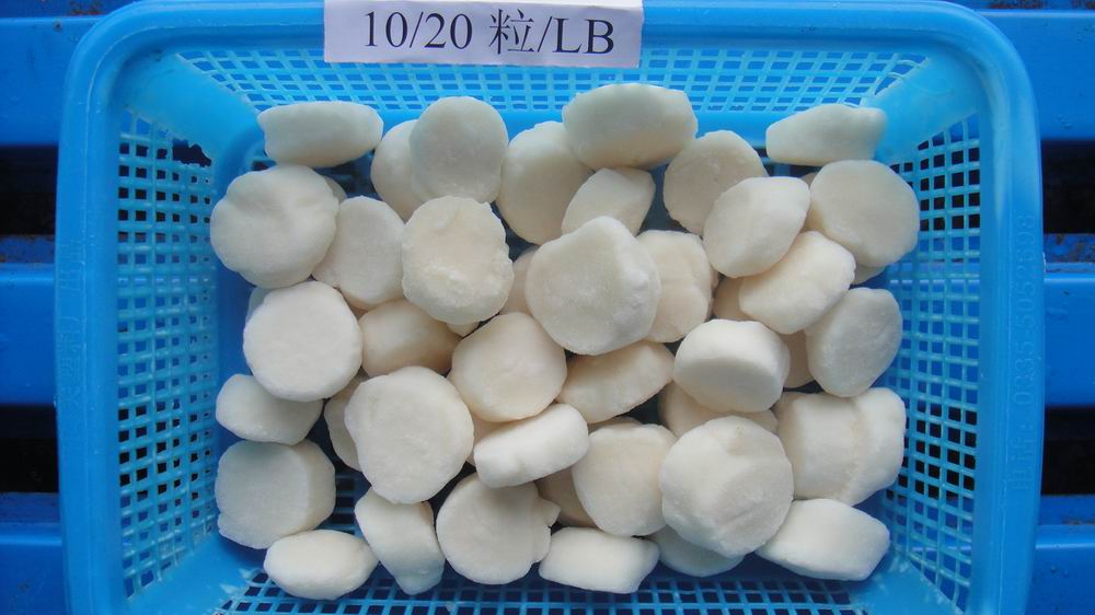 Current Products Dalian Great Wall Food Co Ltd Current Products Dalian Great Wall Food Co Ltd